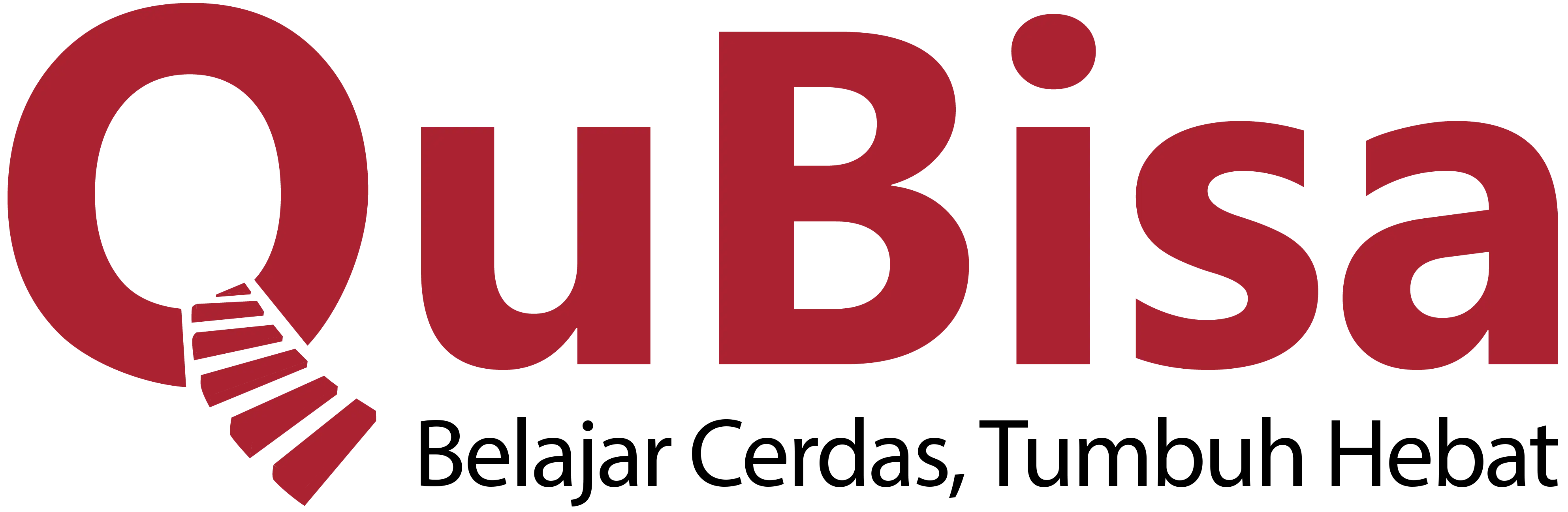 Qubisa Logo