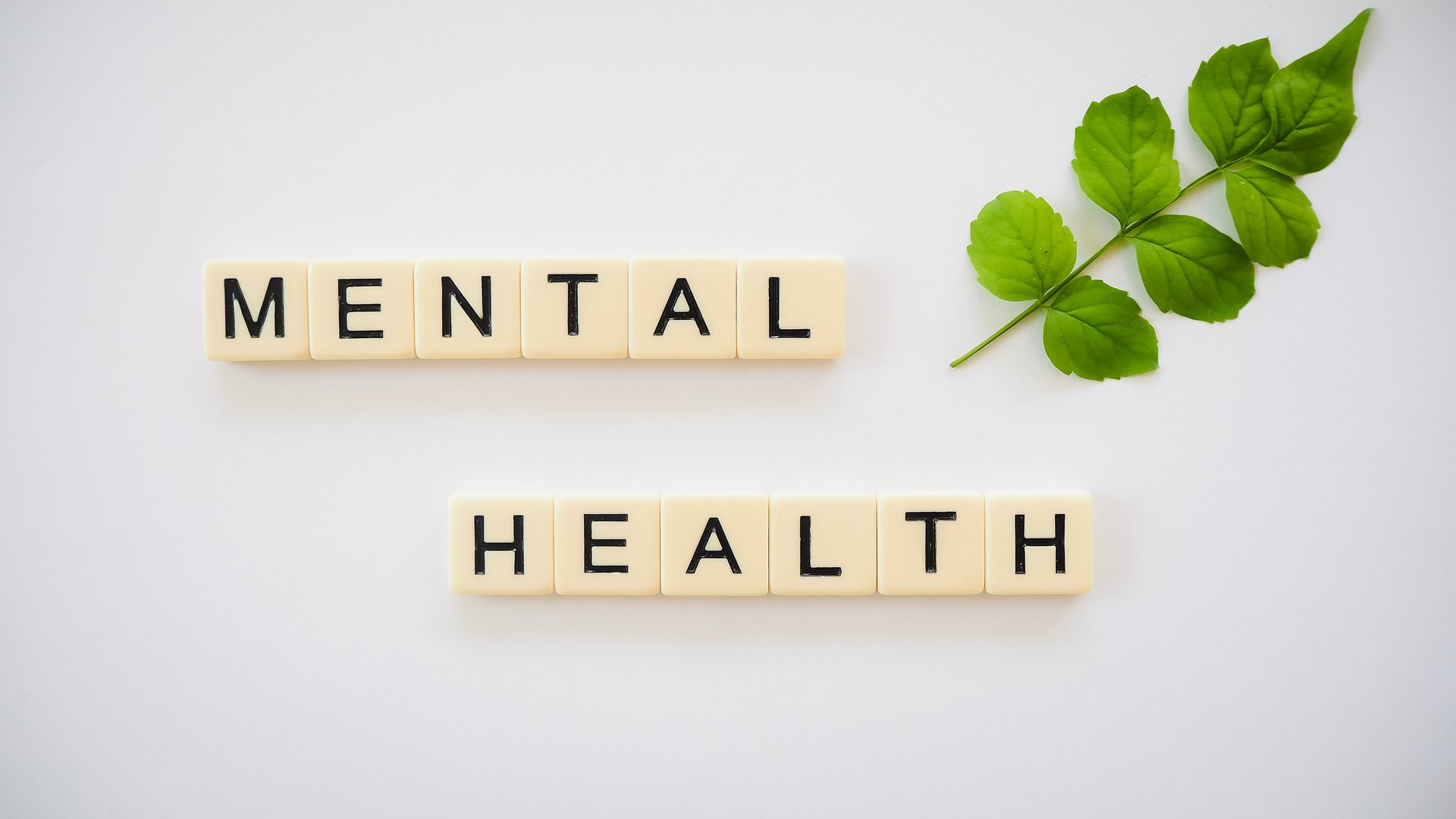 Career vs Mental Health