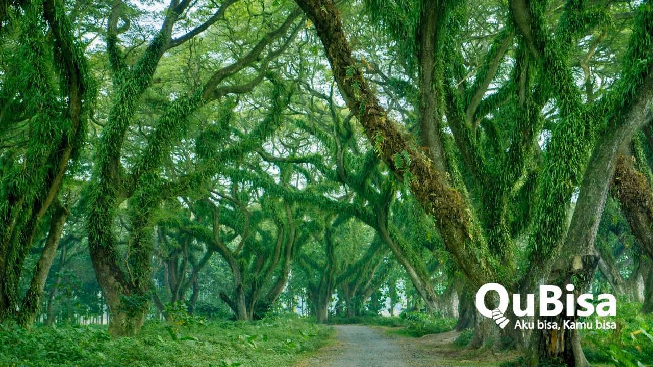 5 Destinasi Wisata di Banyuwangi