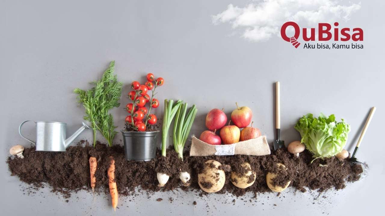 Rekomendasi Buah dan Sayur Kaya Serat untuk Menjaga Kesehatan