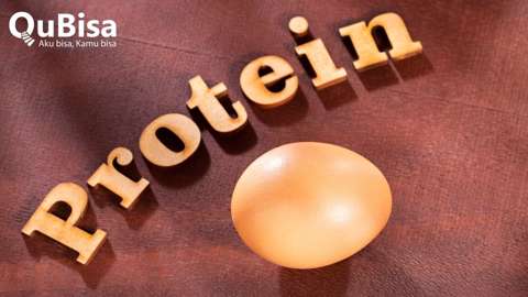 Fungsi Protein dan Sumber Makanan Protein Tinggi