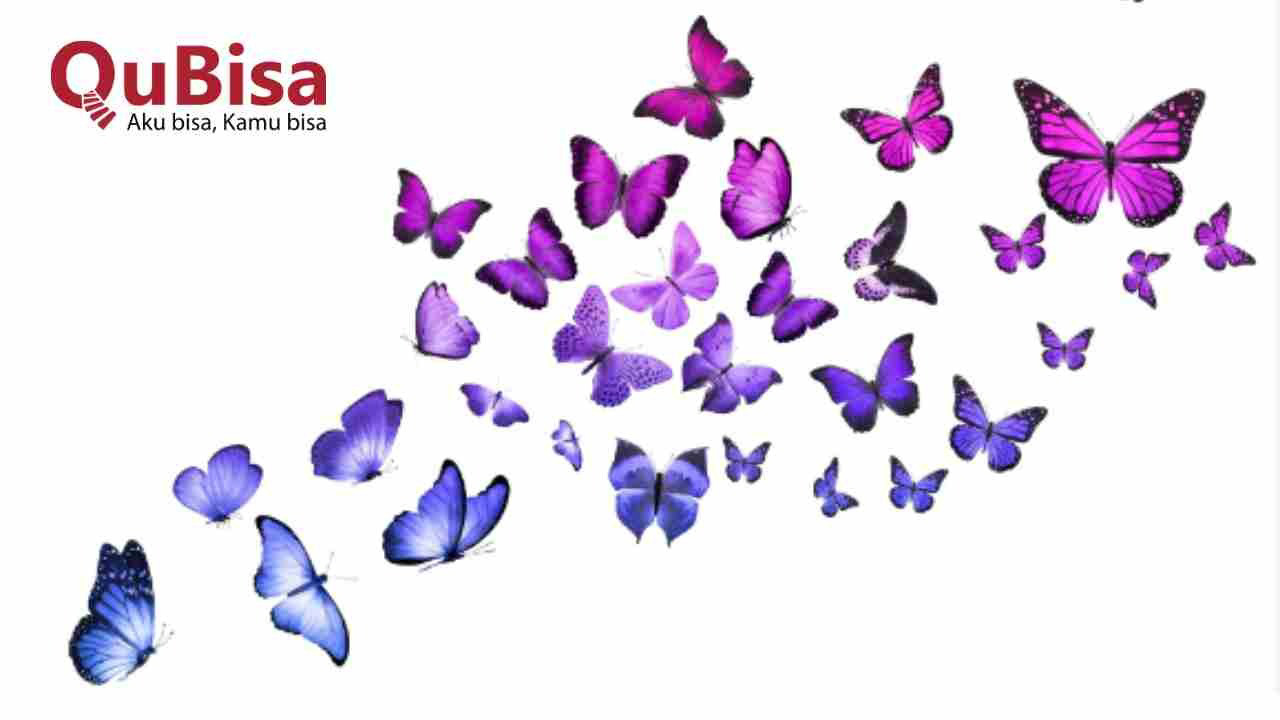 Mari Mengenal Apa Itu Butterfly Effect