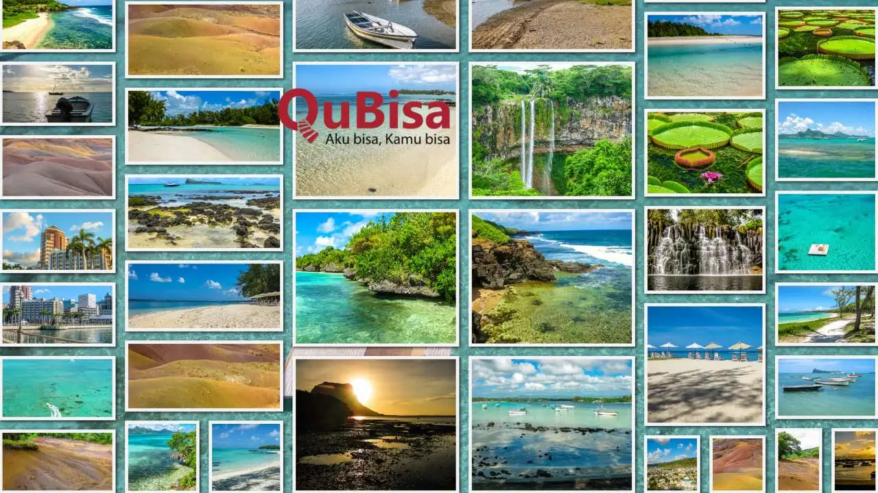 Begini Cara Membuat Grid Foto di Canva