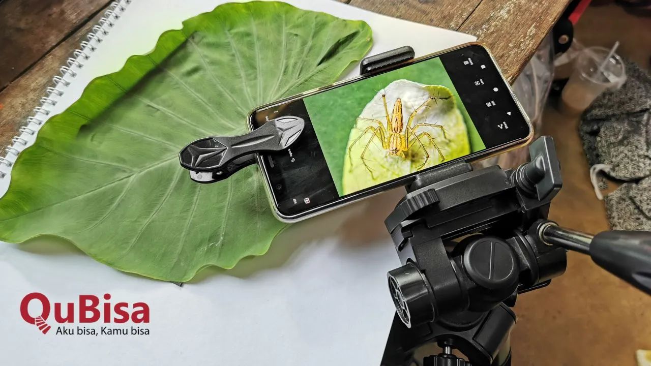 Panduan Menguasai Teknik Fotografi Macro untuk Pemula