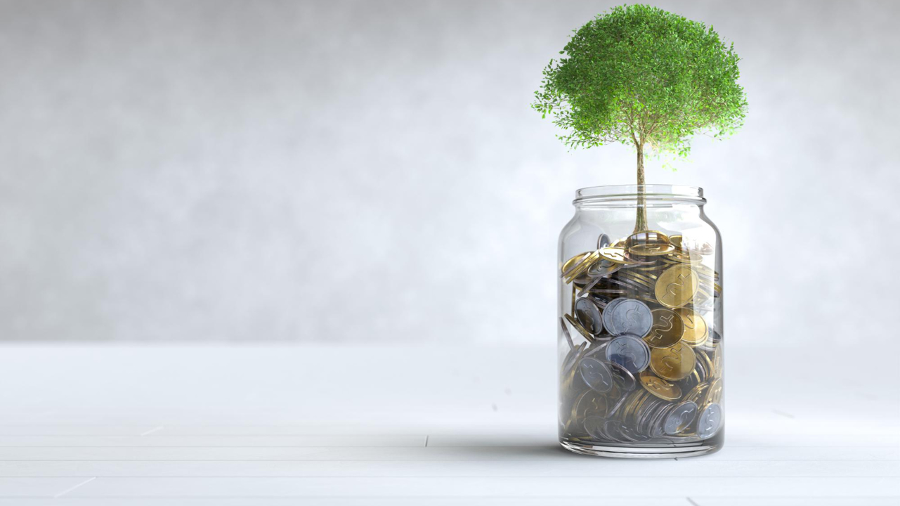 Apa Itu Manajemen Investasi? Ketahui Manfaat dan Strateginya